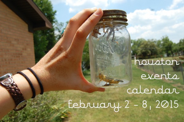 houston events calendar 2 2 8 2015